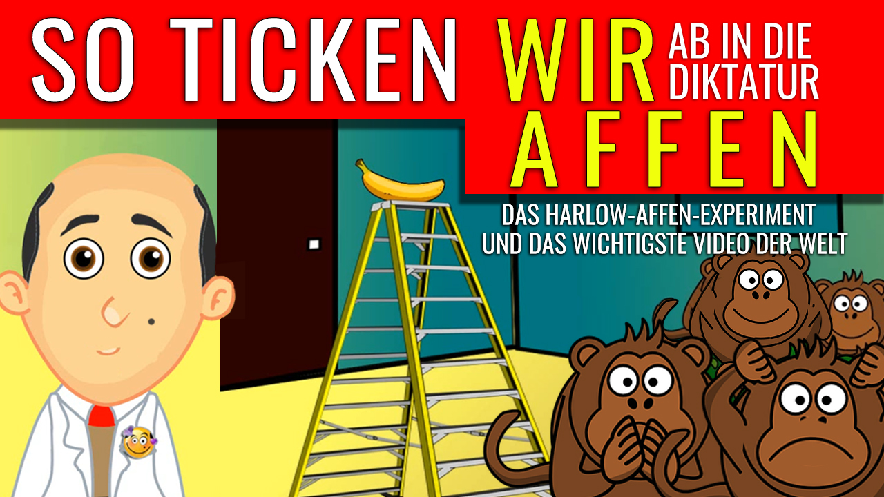 Video Cover - So ticken WIR AFFEN - Ab in die Diktatur - Vorschau für das wichtigste Video